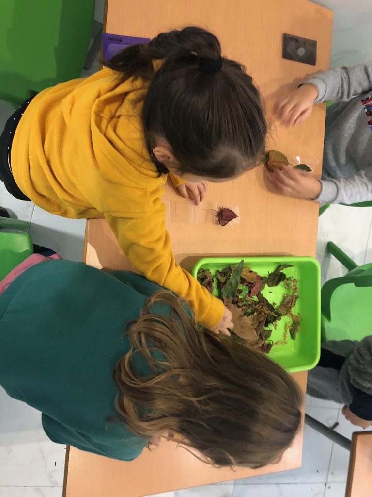 IMG 3353 Otoño Welcome English IMG 3353