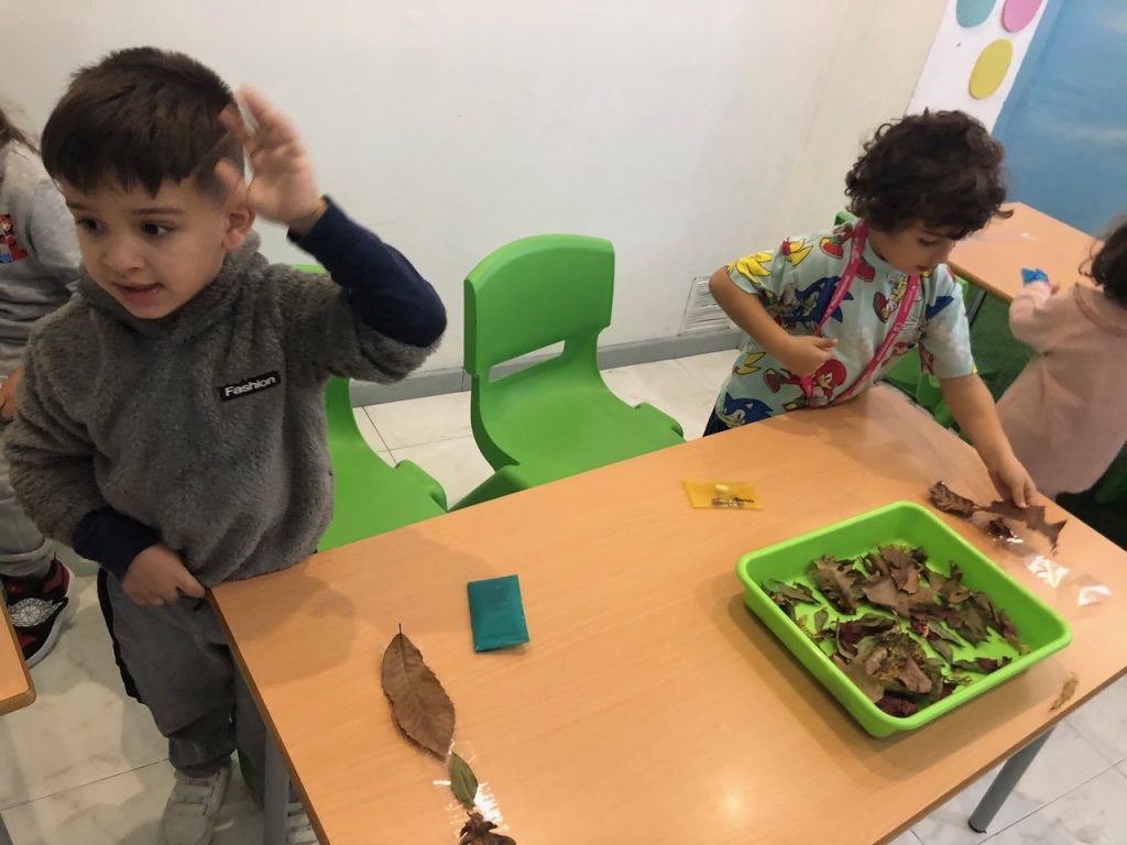 IMG 3354 Otoño Welcome English IMG 3354