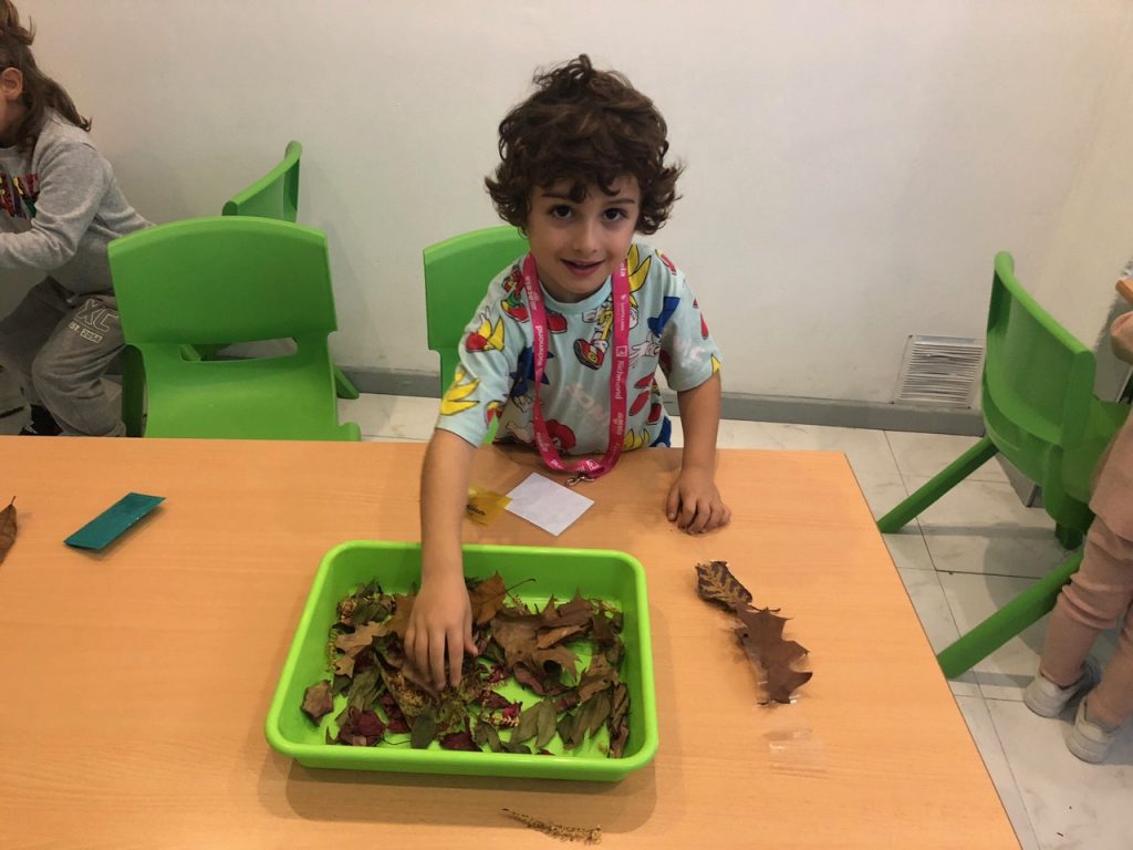 IMG 3357 Otoño Welcome English IMG 3357